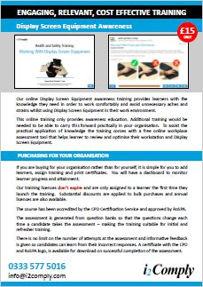 Display Screen Equipment Awareness Online Training Course