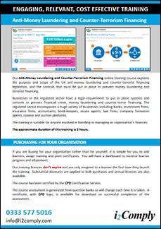 Anti-Money Laundering Flyer