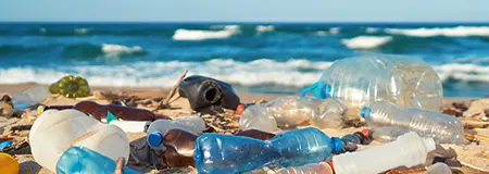 Environmental Awareness Training